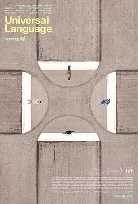 共同的語言