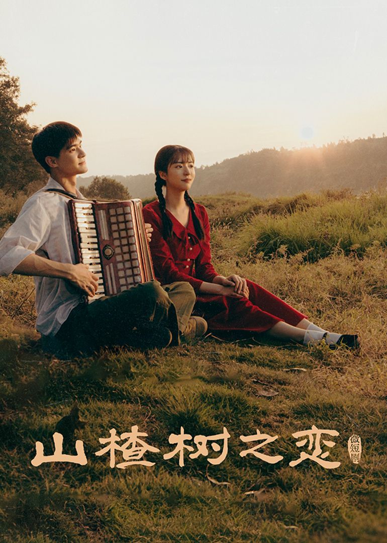 山楂樹之戀